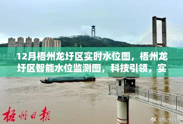 梧州龙圩区实时智能水位监测,科技掌控江河动态