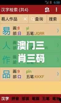 澳门三肖三码精准100%新华字典,全面执行计划数据_3DM2.682