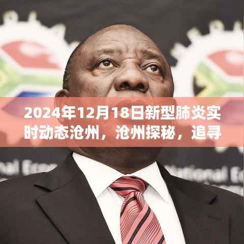 沧州新型肺炎实时动态与探寻自然美景之旅，拥抱宁静微笑