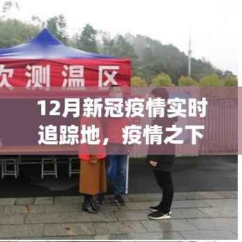 深度解析，12月新冠疫情实时追踪地，疫情之下的观察与追踪