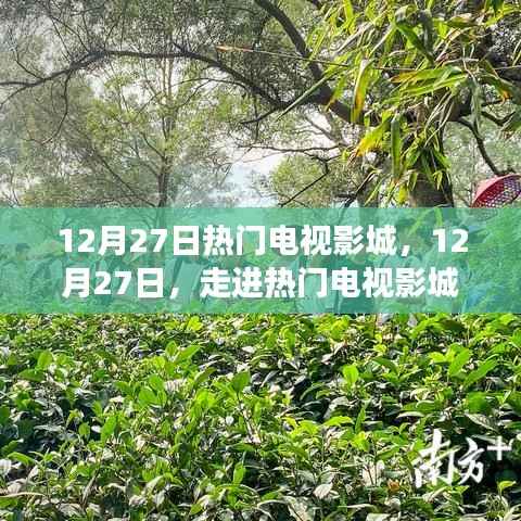 12月27日热门电视影城，探寻变化中的学习之旅，播种自信的种子