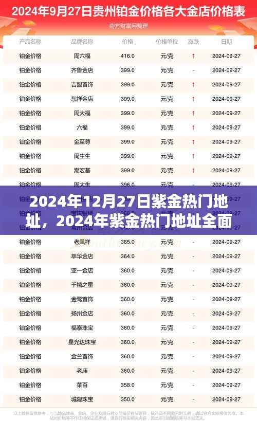 2024年紫金热门地址全面评测，特性、体验、对比及用户群体深度解析