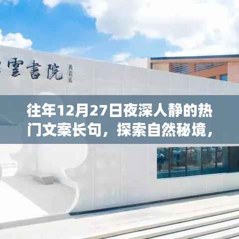 探索自然秘境，深夜星空下的心灵之旅，寻找内心的宁静与宁静的夜对话