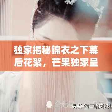 独家揭秘锦衣之下幕后花絮,芒果独家呈现,探寻神秘面纱!