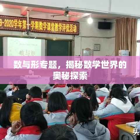 数与形专题,揭秘数学世界的奥秘探索