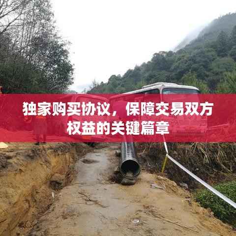 手不释卷 第3页