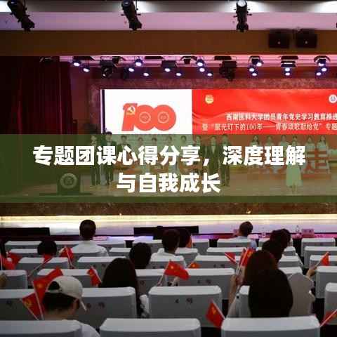 专题团课心得分享，深度理解与自我成长