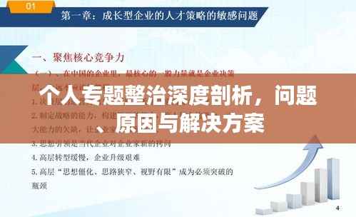 个人专题整治深度剖析,问题、原因与解决方案