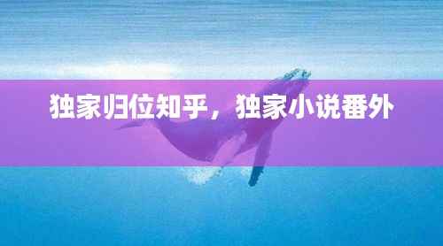 独家归位知乎，独家小说番外 