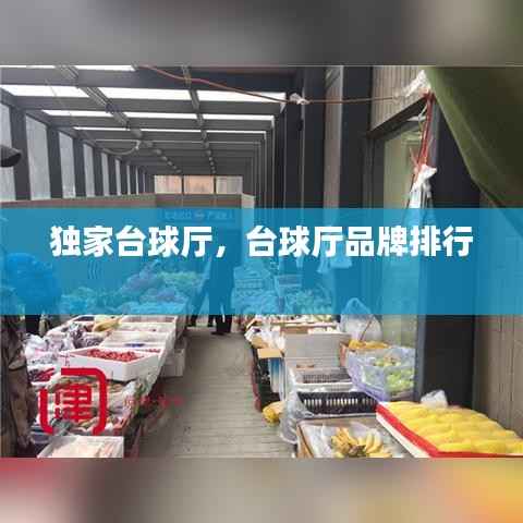 独家台球厅，台球厅品牌排行 