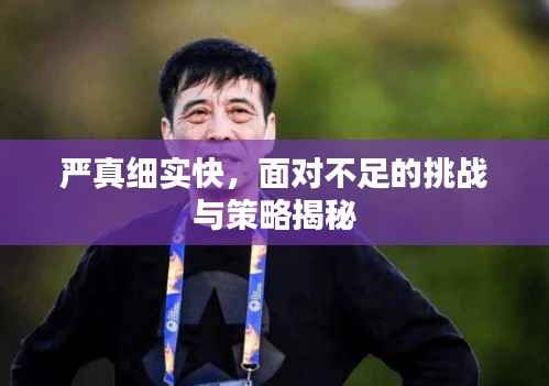 严真细实快，面对不足的挑战与策略揭秘