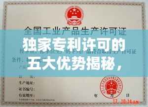 独家专利许可的五大优势揭秘，专利保护下的商业新机遇！