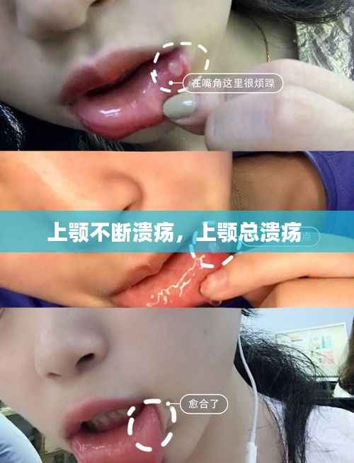 窗明几净 第4页