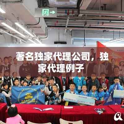 著名独家代理公司，独家代理例子 