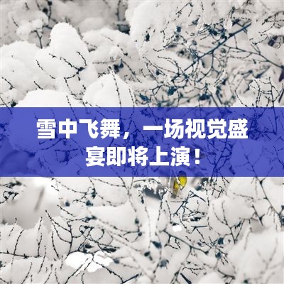 熊经鸟伸 第4页