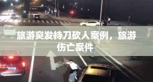 旅游突发持刀砍人案例，旅游伤亡案件 