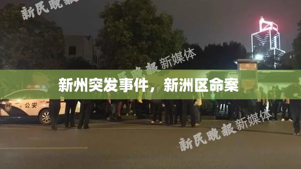 新州突发事件,新洲区命案