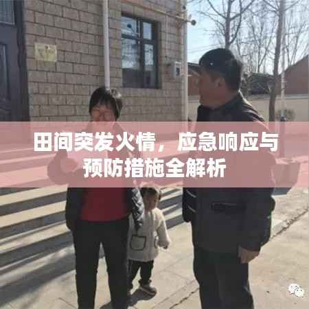 田间突发火情，应急响应与预防措施全解析