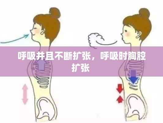 呼吸并且不断扩张，呼吸时胸腔扩张 