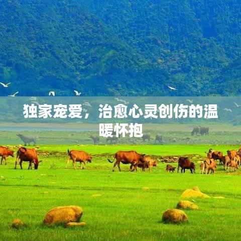 推襟送抱