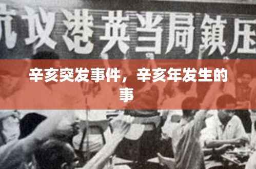 辛亥突发事件,辛亥年发生的事