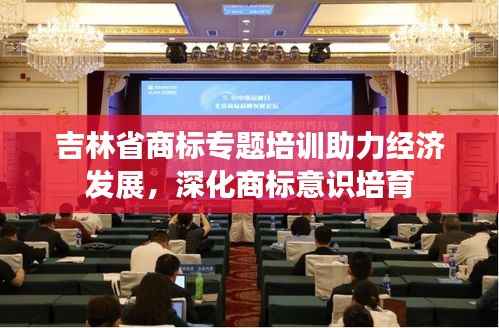 夯雀儿先飞 第3页