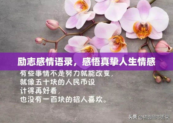 励志感情语录，感悟真挚人生情感
