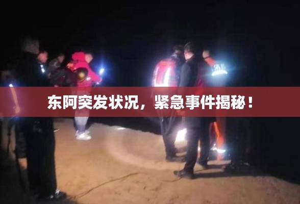 东阿突发状况，紧急事件揭秘！