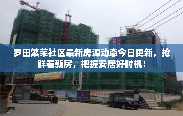 就地取材 第3页