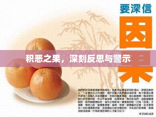 积恶之果，深刻反思与警示