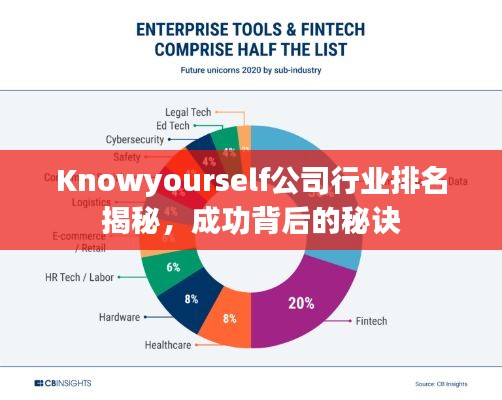 Knowyourself公司行业排名揭秘，成功背后的秘诀