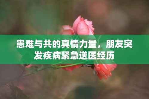 患难与共的真情力量,朋友突发疾病紧急送医经历