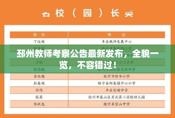 邳州教师考察公告最新发布,全貌一览,不容错过!