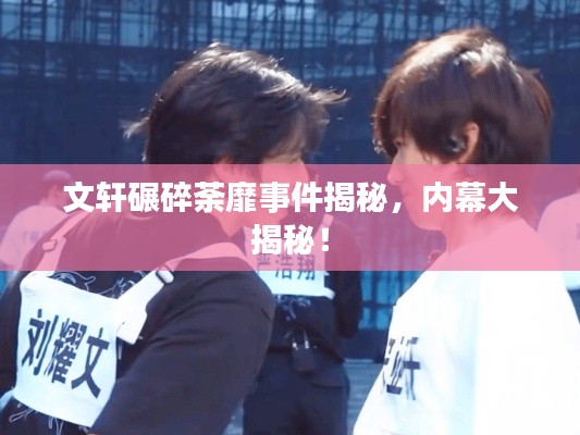 文轩碾碎荼靡事件揭秘,内幕大揭秘!