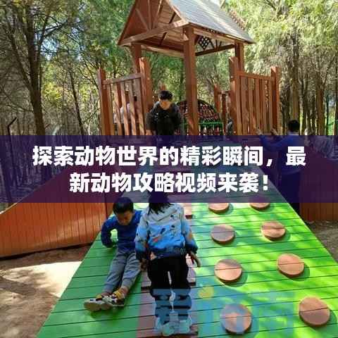 探索动物世界的精彩瞬间，最新动物攻略视频来袭！