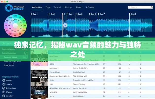 独家记忆,揭秘wav音频的魅力与独特之处