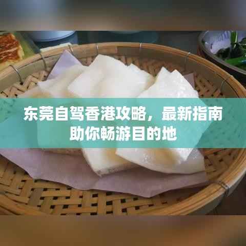 东莞自驾香港攻略，最新指南助你畅游目的地