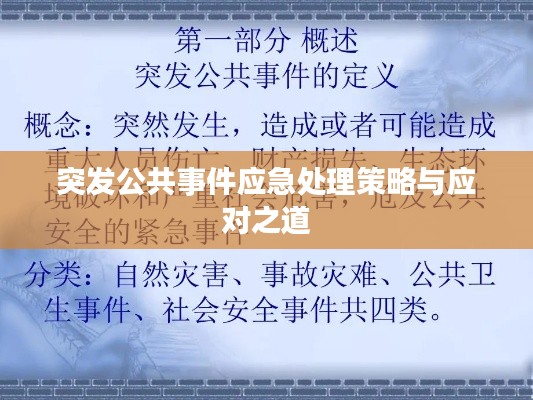 突发公共事件应急处理策略与应对之道