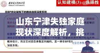 山东宁津失独家庭现状深度解析,挑战与对策