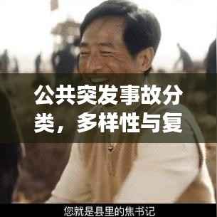 公共突发事故分类,多样性与复杂性的深度解析