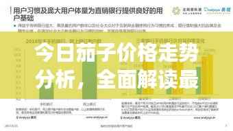 今日茄子价格走势分析，全面解读最新行情