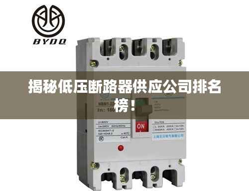 揭秘低压断路器供应公司排名榜！