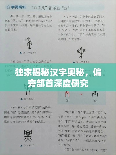 独家揭秘汉字奥秘,偏旁部首深度研究