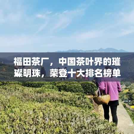 福田茶厂，中国茶叶界的璀璨明珠，荣登十大排名榜单
