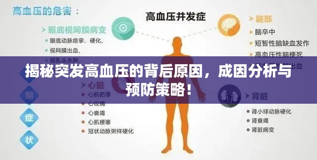 揭秘突发高血压的背后原因，成因分析与预防策略！