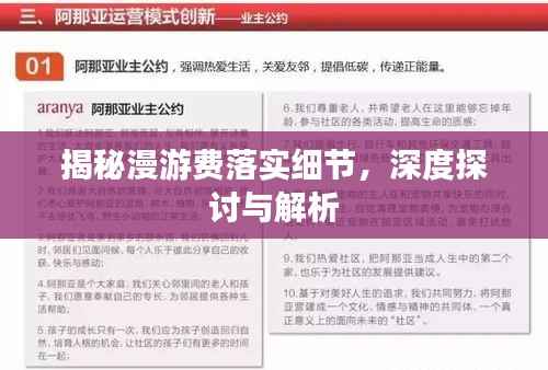 揭秘漫游费落实细节，深度探讨与解析