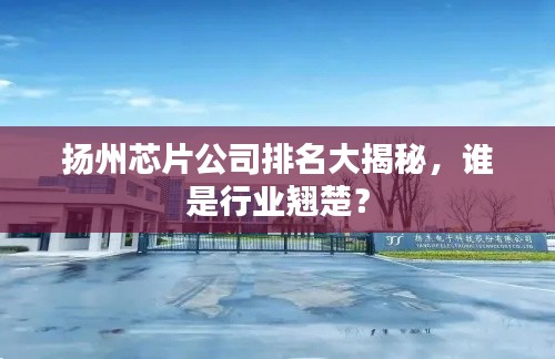 扬州芯片公司排名大揭秘，谁是行业翘楚？