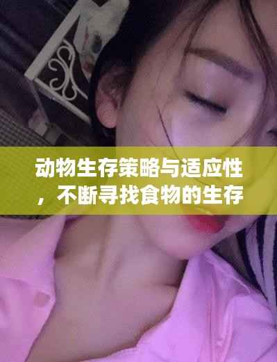 动物生存策略与适应性，不断寻找食物的生存之道