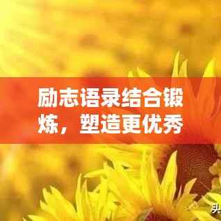 励志语录结合锻炼,塑造更优秀的自我