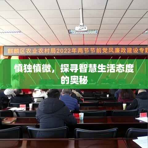 诚心诚意 第3页